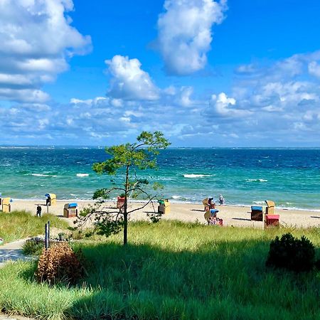 Goldmaedchen 93 - Beach Studio Häven المظهر الخارجي الصورة